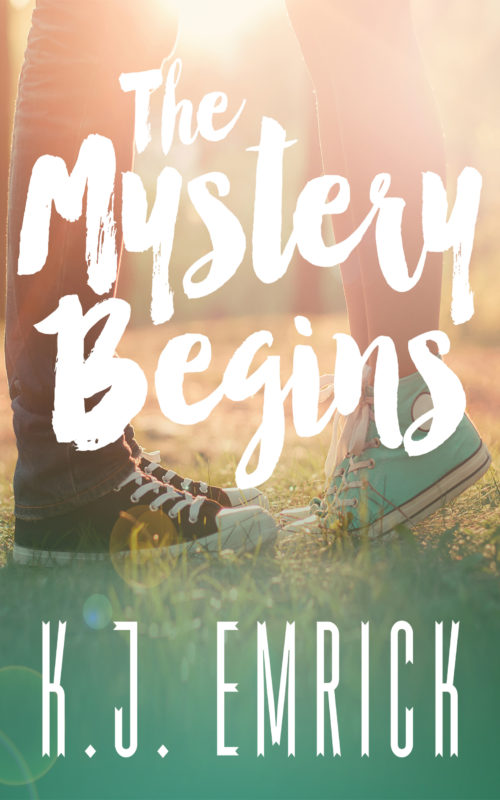 The Mystery Begins (A Connor and Lilly Mystery Book 1)